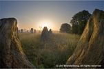 image/コニカミノルタプラザ特別企画展 ジム・ブランデンバーグ写真展「A TRIBUTE TO NATURE」
