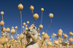 image/コニカミノルタプラザ特別企画展 ステファノ・ウンターティナー写真展 「LIVING WITH NATURE」