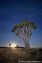 image/コニカミノルタプラザ特別企画展 フランス・ランティング写真展「LIVING EARTH」